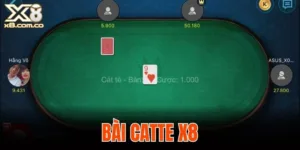 bài Catte X8