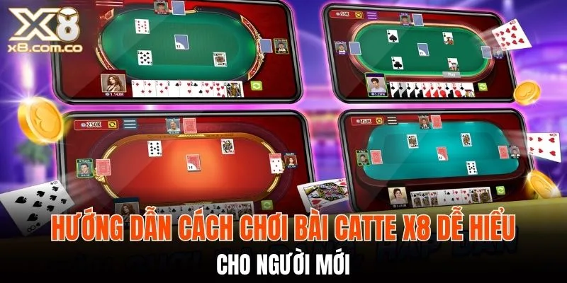 Hướng dẫn chi tiết về cách chơi bài catte X8 dễ hiểu cho người mới